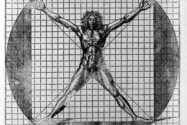 В 1490 году знаменитый художник и изобретатель Леонардо да Винчи нарисовал «Витрувианского человека». Этот рисунок используется как символ симметрии тела человека с каноническими пропорциями
