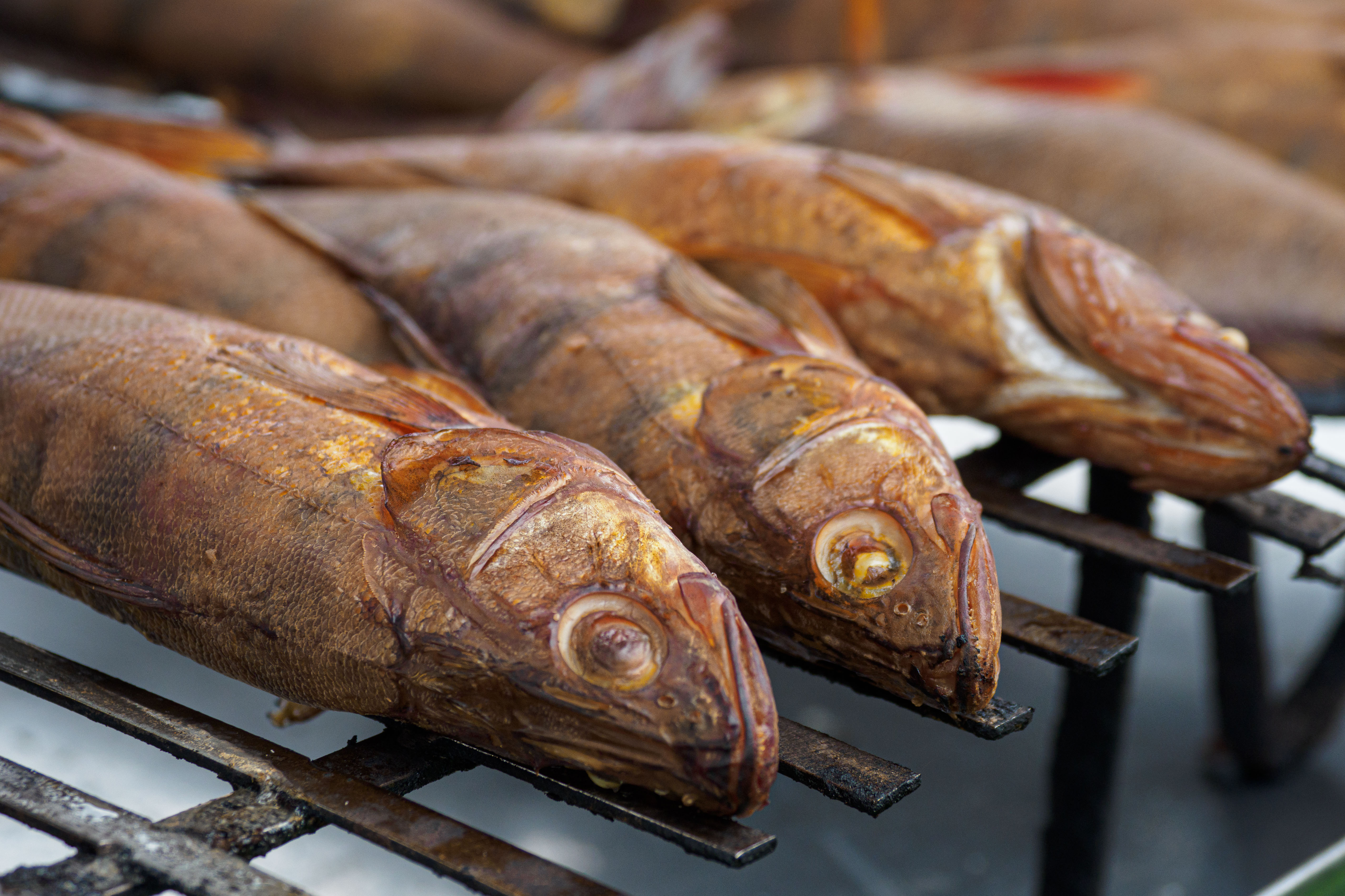 Волга сегодня привлекает любителей хищной рыбы, за которой еще стоит поохотиться.