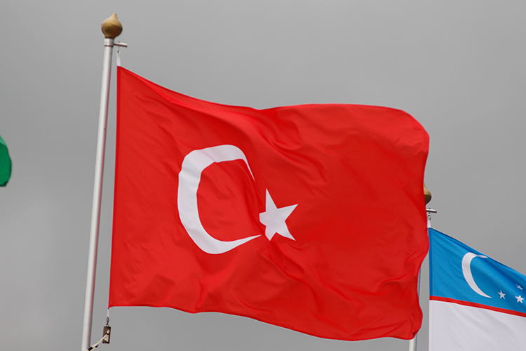 «Турецкая сторона желает играть большую роль в международных делах, поэтому все необходимые и возможные для этого инструменты должны быть задействованы»