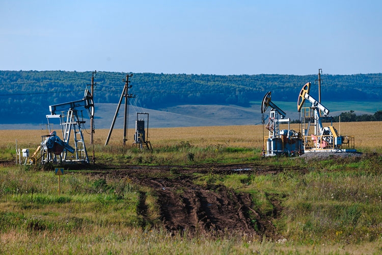 Большая часть из высокодоходных сел находятся в нефтяных районах Татарстана — Актанышском, Черемшанском и Новошешминском, где добычей занимаются малые нефтяные компании