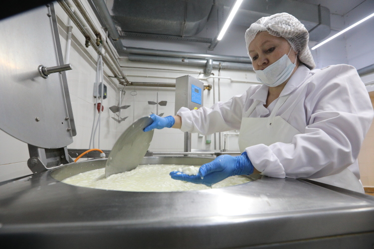 Республика заняла первое место в России по производству сырого молока и четвертое — по переработке (1,4 млн и 1,2 млн тонн соответственно)