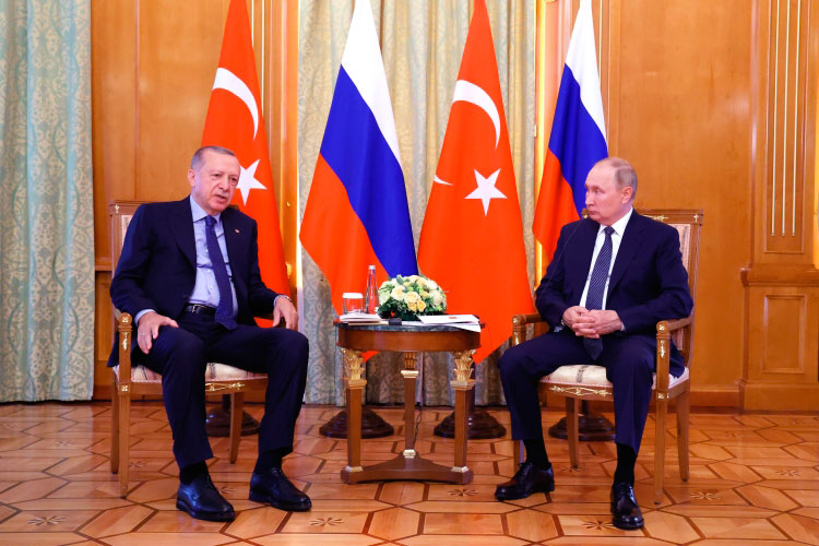 На встрече Владимир Путин и Реджеп Эрдоган решили довести импорт из Турции в Россию до оборотов в $100 миллиардов. Я думаю, что эта сумма включает и косвенный европейский импорт через Турецкую Республику