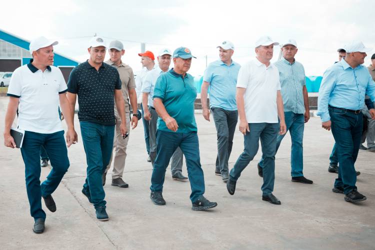 11 августа президент Татарстана Рустам Минниханов посетил ряд районов республики — проверить, как продвигается уборочная страда