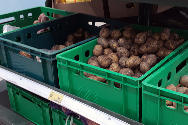 Картофель, который с начала года обрастал «позолотой», стоит теперь в «Магните» всего 21 рубль за кило, это на 70% дешевле, чем в июне этого года