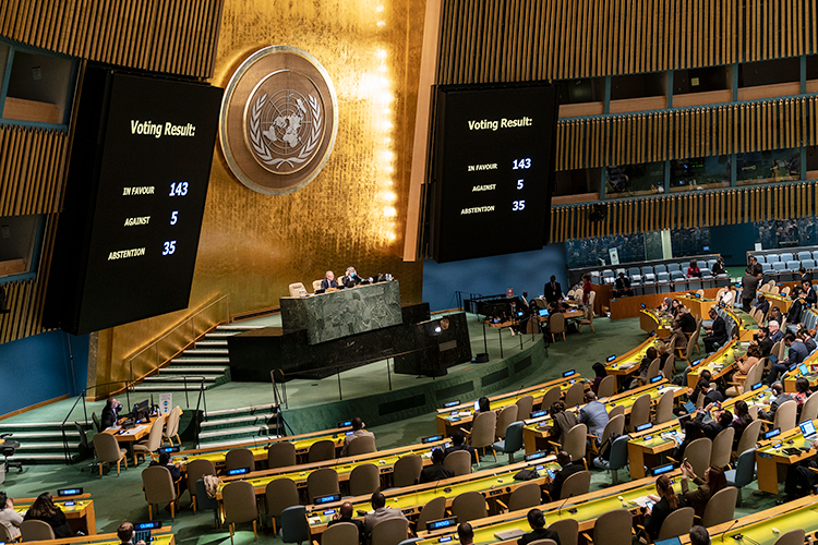 Генассамблея ООН приняла резолюцию, не признающую референдумы в Донецкой и Луганской народных республиках, Херсонской и Запорожской областях. За проголосовало 143 страны, против — пять (Россия, Сирия, Северная Корея, Беларусь и Никарагуа), еще 35 воздержались