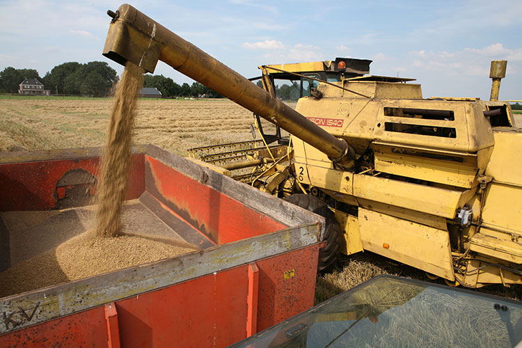 Если в прошлом году пшеницу отгружили 145 компаний, то в этом сезоне только 80. Такая же картина складывается по странам. Раньше российское зерно продавали в 70 стран, а сейчас лишь в 39.