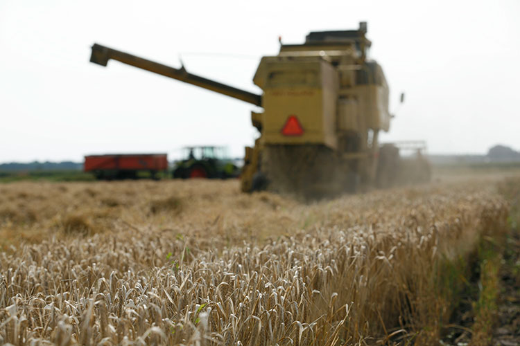 В этом году в том числе урожай привел к обвалу цен до «неприемлемого уровня», которые находятся на уровне себестоимости. Так, цены на пшеницу 4 класса в регионах опускаются ниже 10 тысяч рублей