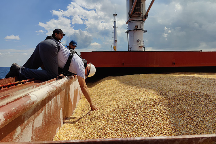 На Чикагской бирже резко подскочили фьючерсы на пшеницу — по данным Bloomberg, рост при открытии торгов составил 7,7%, чуть позже цены стали несколько стабилизироваться, достигнув отметки на 5,6% выше уровня последней сессии
