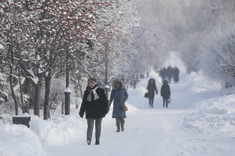 По прогнозу синоптиков, предстоящие выходные будут суровыми — до минус 28 градусов мороза
