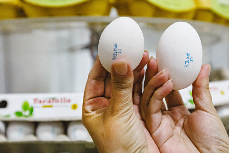 Эксперты считают, что яйцо должно быть не только в скорлупе, должны быть  и полуфабрикаты для сферы HeReCa, отдельно должен продаваться яичный белок и яичный желток для кондитерского производства