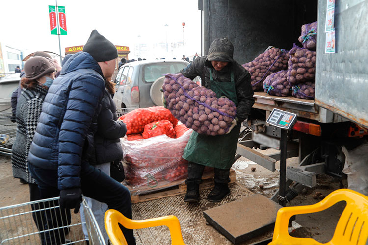 В Татарстане регулярно проводятся сельскохозяйственные ярмарки, фермеры и самозанятые могут реализовать продукцию на фестивалях