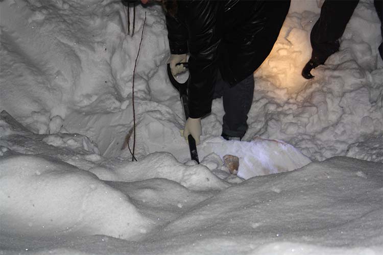 Судмедэксперт осторожно лопатой разгребал снег