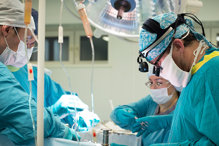 В РКБ в прошлом году сделали 138 трансплантаций, из них 83 почки, 55 печени. В 2021 году из было в 2 раза меньше — 26 печени, 52 почки