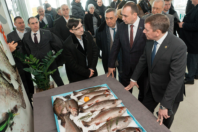 Делегация во главе с министром Маратом Зяббаровым побывала перед отчетной сессией в комплексе по выращиванию и глубокой переработке ценных пород рыб и производства кормов. Инвестиции в него составят около 650 млн рублей