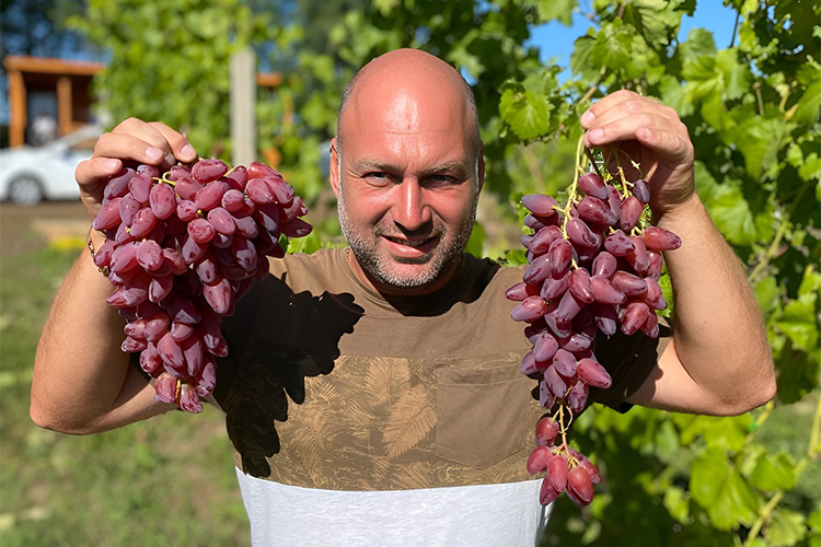 Айрат Ялалетдинов — единственный виноградарь Татарстана, выращивающий ягоду в промышленных масштабах