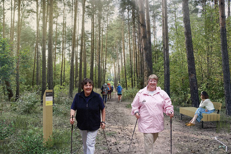 Для пенсионеров, занимающихся скандинавской ходьбой, разработали отдельный пеший маршрут — терренкур
