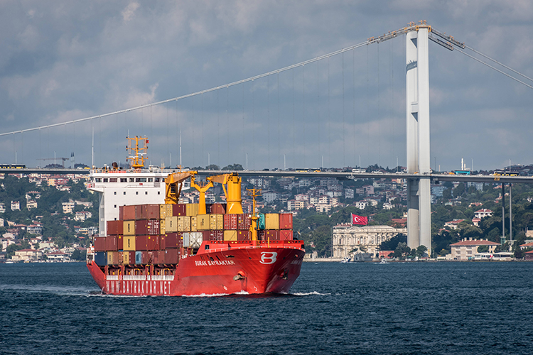 Морской грузопоток из Стамбула в Новороссийск пока никак не изменился