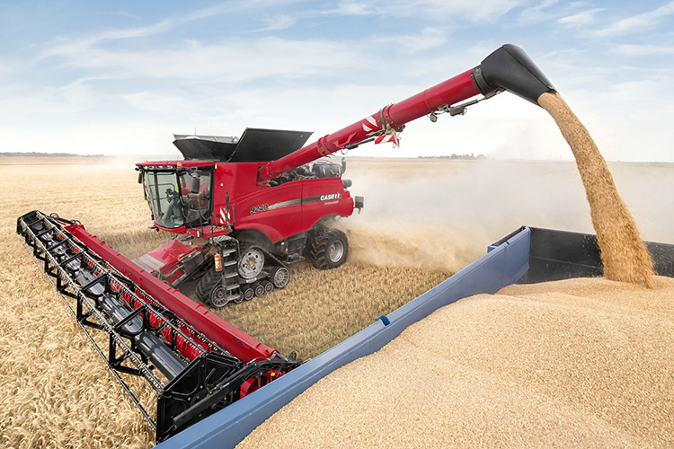 Урожай зерна в 2023 году может снизиться до 120 млн тонн