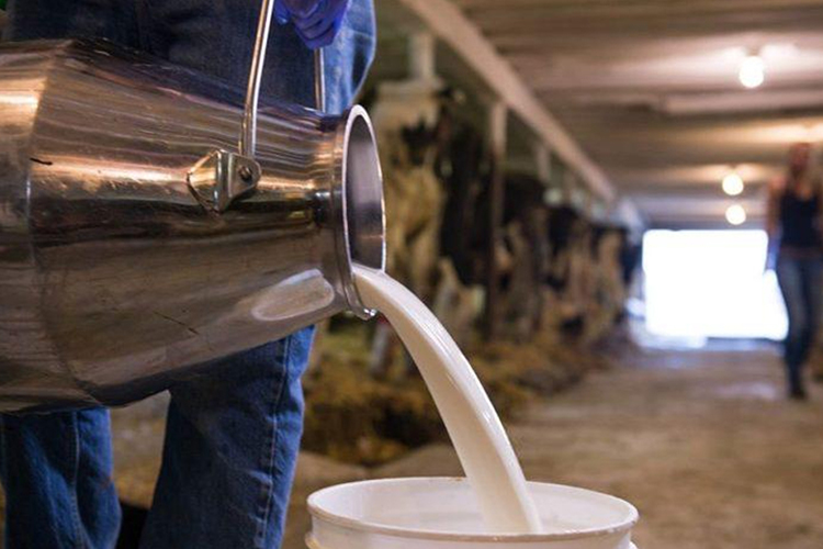 Наценка на цельное молоко и кисломолочную продукцию, которые доходят до потребителя, составляет от 50 до 100%, негодовал гендиректор Союза производителей молока РТ Денис Пирого