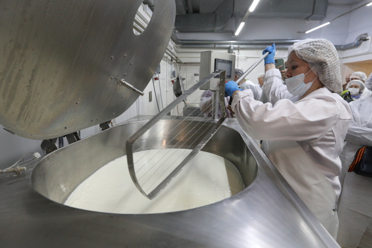 «Татарстан является самым крупным производителем молока в России, любые ценовые колебания на молочном рынке больше всего отражаются на нас. С середины первого квартала [2023 года] наблюдается значительное снижение закупочных цен на сырое молоко»