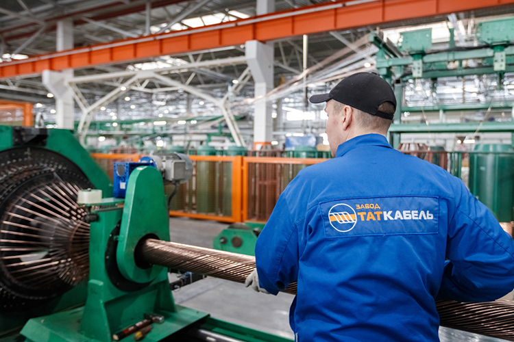 В тройку крупнейших работодателей района входит Казанский жировой комбинат, группа компаний ICL, на третьем месте — завод «Таткабель». Причем все сконцентрированы в границах проекта «Лаишевский узел»