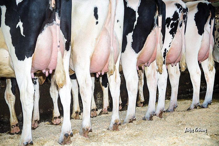 «Большая часть наших партнеров, с которыми мы работаем с 2015–2016 года, значительно увеличили генетический потенциал своих стад и уровень производства молока на голову, в некоторых случаях более чем в два раза, и перешагнули рубеж в 12 тысяч килограммов молока за лактацию»
