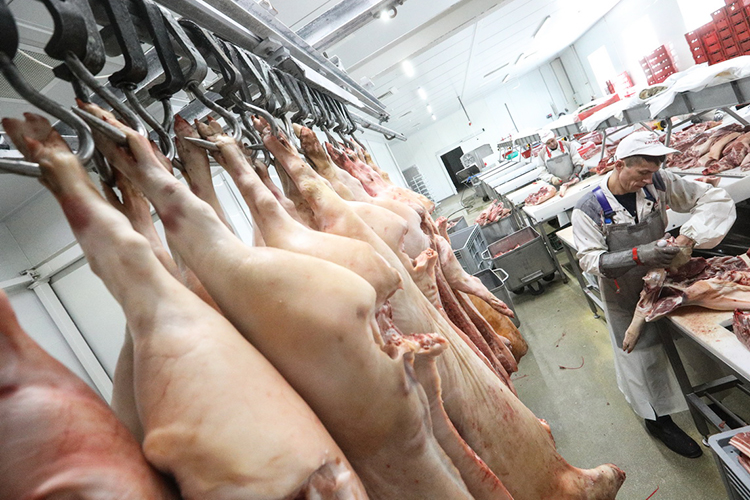 «Мы оповещаем местное население, что готовы продавать им свинину по льготным ценам, только чтобы они не держали у себя дома свиней»