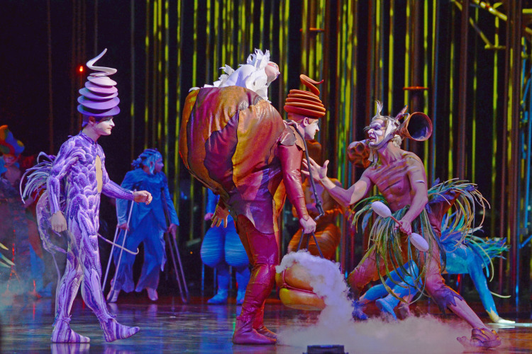 «Du Soleil — это некое синтетическое шоу с определенным набором цирковых элементов. Там цирк далеко не главный. Там главное и музыка, и балет, и персонажи, и история»
