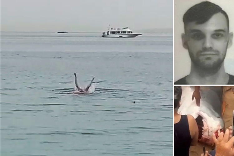 Одной из самых жутких новостей недели стала информация о смерти 23-летнего россиянина Владимира Попова после атаки акулы-людоеда на пляже египетской Хургады