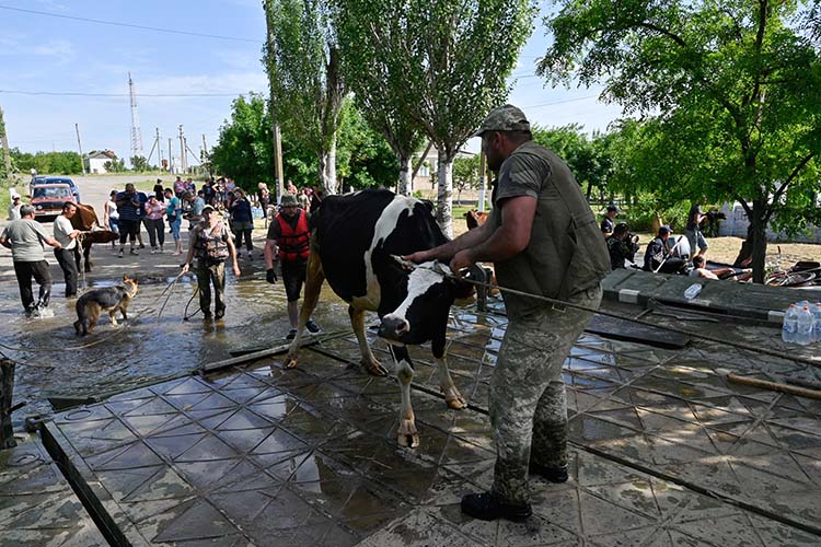 Более 820 жителей Херсонской области, пострадавших при наводнении, получили компенсацию на общую сумму 8,2 млн рублей