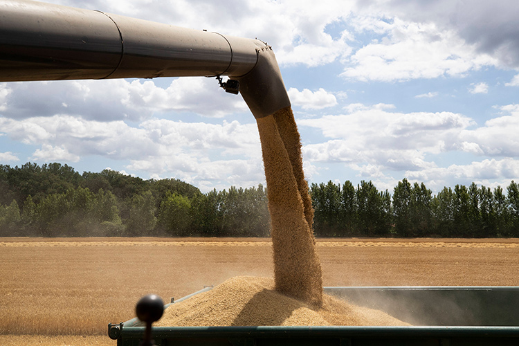 Евросоюз призвал Россию немедленно возобновить зерновую сделку