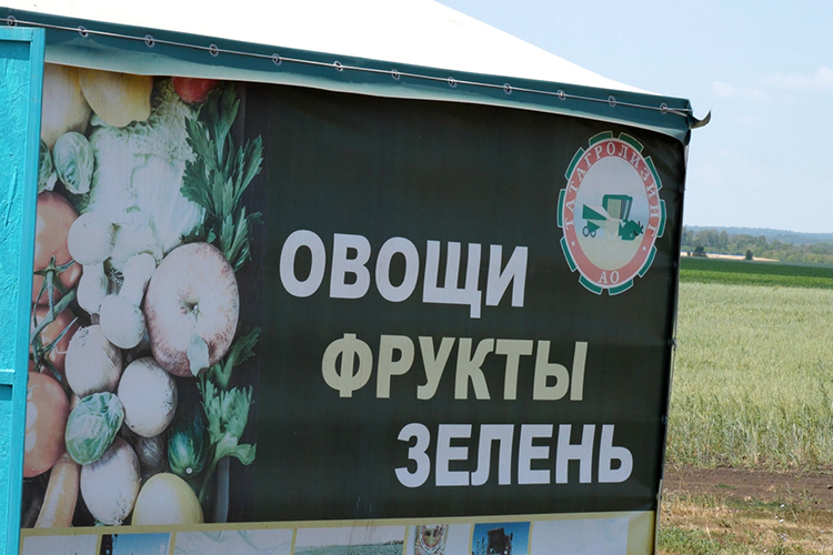 В Татарстане мелиорацию взяли на вооружение, в первую очередь, производители картофеля и овощей