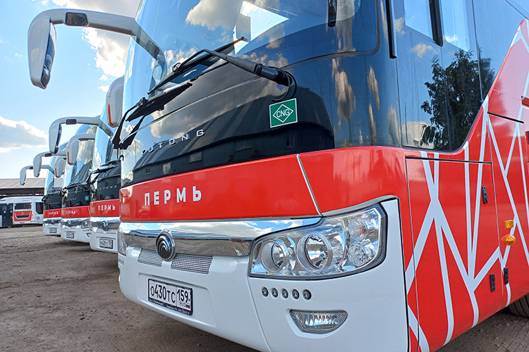 В комитете по транспорту Пермского края нашему изданию рассказали, что результатом транспортной реформы стало глобальное обновление автобусного парка