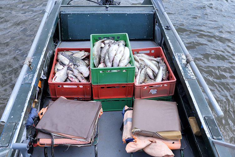 «В промысловый журнал записывается количество выловленной рыбы по дням, из которой выводится общая сумма добытой рыбы. Это проверяется руководством», — добавил Гагаркин