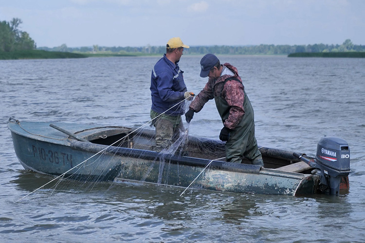 Промышленный вылов рыбы в Татарстане разрешен на территории двух водохранилищ: Куйбышевского и Нижнекамского