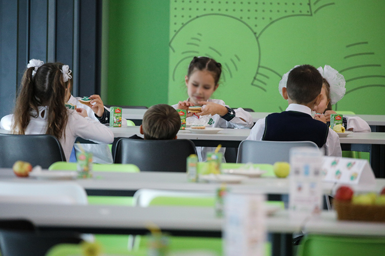 Департамент продовольствия и питания Казани подсчитал, что за перемену длиной 15 минут в школьной столовой можно накормить только 450 человек. Но зачем тогда 700 мест, кому это надо?