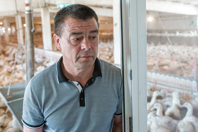 Фарид Хайрутдинов: «У нас же как часто бывает: если человек работает на птицефабрике, то он и дома птицу держит, потому что нет-нет да принесет с фабрики корма. Если работает в коровнике, то дома держит корову»