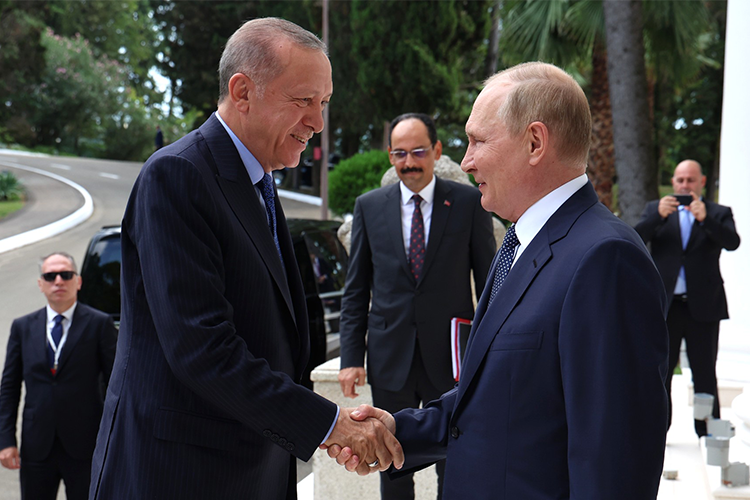 В Сочи должны пройти переговоры президента России Владимира Путина и турецкого лидера Реджепа Эрдогана. Как ожидается, одной из главных тем встречи станет возобновление зерновой сделки с новыми условиями