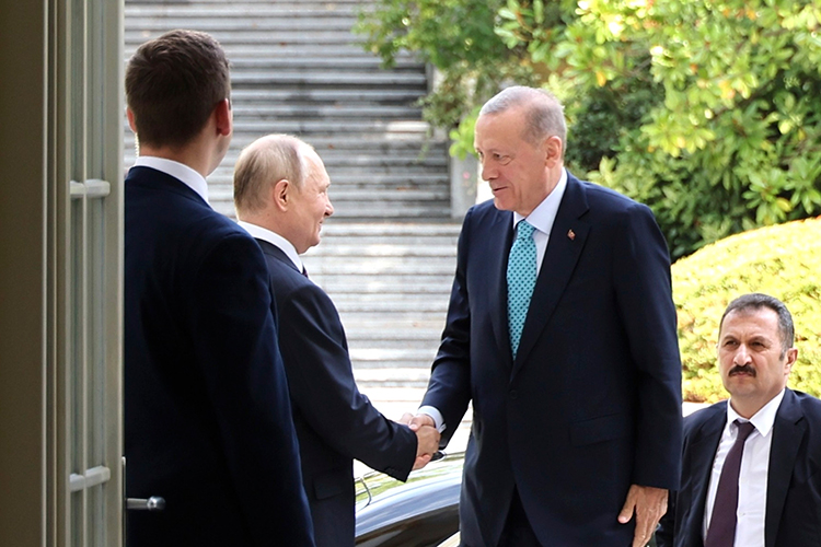 «Зерновая сделка — это вообще не самое главное во встрече Путина и Эрдогана, — пишет Максим Шевченко в канале «Макс атакует!»