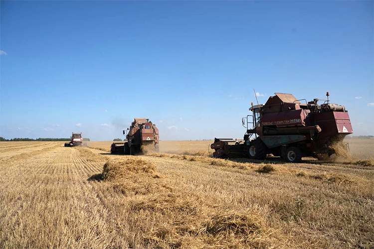 Уже собрано более 123 млн т зерна, а с учетом того, что на Урале, в Сибири и на Дальнем Востоке уборка зерновых еще продолжается, общий итог составит не менее 130 млн тонн зерна, спрогнозировал министр