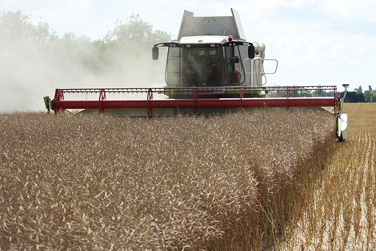 По словам Зяббарова, работу в полях Татарстана аграрии уже завершили, намолотив 3,7 млн тонн зерна в бункерном весе