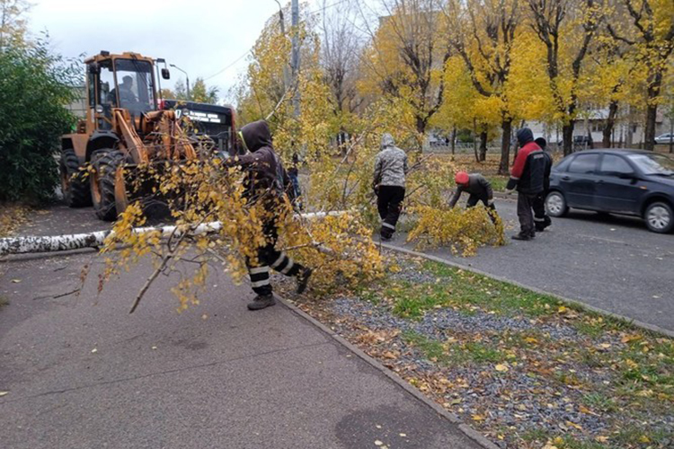 К 17:00 мск в экстренные службы поступило 19 сообщений о падении деревьев в Татарстане