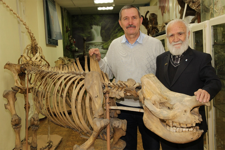 На фото тот самый 13-летний мальчик, теперь профессор ветеринарии Гаранин Валериан Иванович возле скелета черного носорога в анатомическом музее Казанской ветеринарной академии