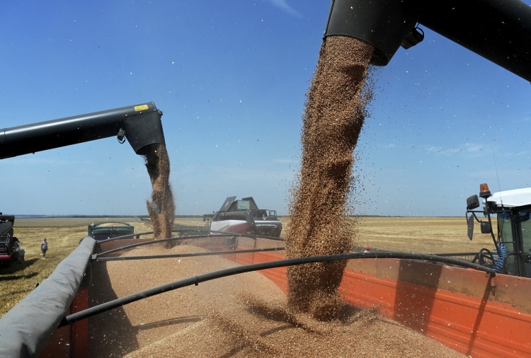 «Союз-Агро» в этом году получила почти 40 тыс. т зерна с урожайностью 19,7 ц/га. По данным «Контур.Фокус», компания завершила 2022-й с выручкой в 1,7 млрд и чистой прибылью в 213,4 млн рублей