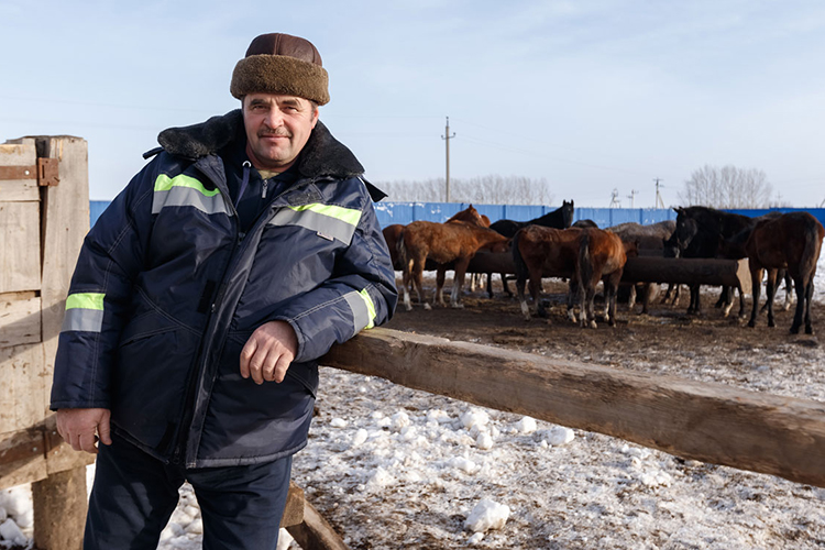 Марат Губайдуллин, «Хузангаевское»: «Любовь к лошадям за деньги не купить, она или есть, или нет ее!»