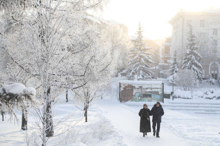 В предстоящие выходные, 9 и 10 декабря, на территории Татарстана ожидается от 30 до 35 градусов ниже нуля, местами в восточных и северных районах температура снизится до минус 40 градусов
