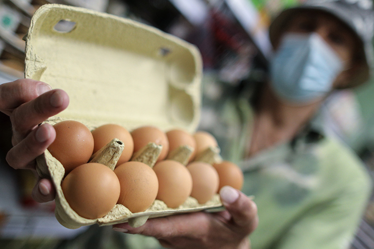 По предложению ФАС три ретейлера — «Верный», «Глобус» и «Азбука вкуса» — согласились добровольно ограничить наценки на яйца от 5 до 10%