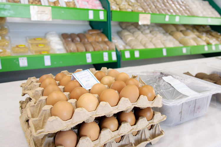 Судя по заявленным срокам, поставлять яйца из-за рубежа планируется как минимум до лета следующего года. Это должно увеличить предложение и снизить цены