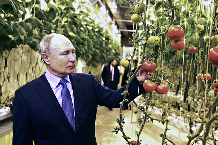 Владимир Путин во время посещения Чукотки посетил круглогодичный тепличный комплекс «Крестьянское хозяйство Макатровых» в Анадыре