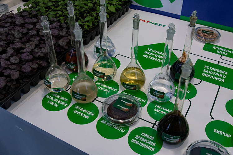 «Татнефть» продемонстрировала вип-персонам технологию производства рециклинговых шин, композитной продукции, растительные компоненты для производства биойла и биочара